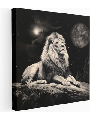 Painted Anarchy Gece Aslan Kanvas Tablo, 30X30 cm