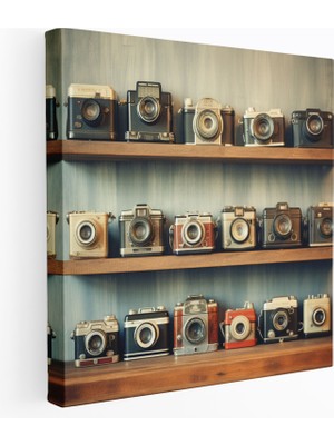 Painted Anarchy Natürmort Duvar Dekorasyonu