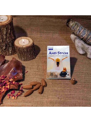 Darshan Incense Geri Akış (Back Flow) Tütsü 10 Adet