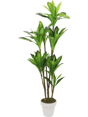 Yapay Drasena Ağacı 200 cm