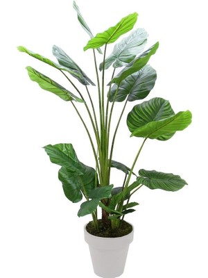 Dekorsende Yapay Dua Ağacı Yeşil 150 cm