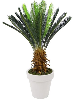 Dekorsende Yapay Cycas Ağacı 130 cm