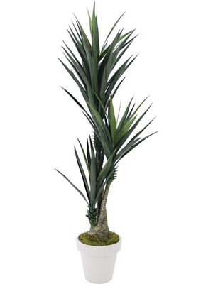 Dekorsende Yapay Sisal Ağacı 170 cm