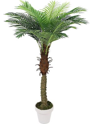 Dekorsende Yapay Areka Palmiye Ağacı 180 cm