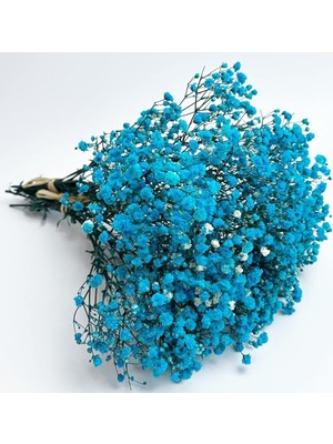 Netten Evime Kuru Çiçek Doğal Civit Mavi Cipso 50GRAM 1. Kalite Şoklanmış Bozulmaz