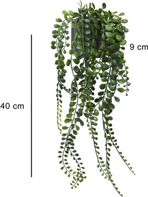 Homing Yeşil Yapraklı Sarkan Bitki 40 Cm 241589