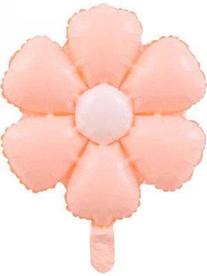 Patladı Gitti Papatya Folyo Balon 77X66 cm Makaron Somon Parti Kutlama Seti