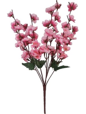 Çiçekmisin 9 Dal Bahar Dalı