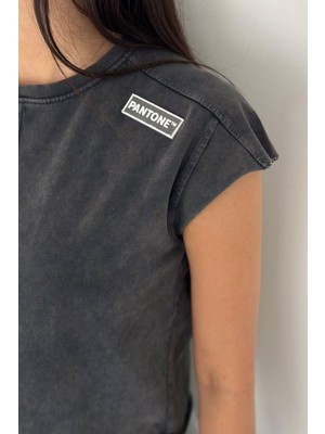 Kadın Antrasit Bisiklet Yaka Pantone Armalı Yıkama Crop Tişört