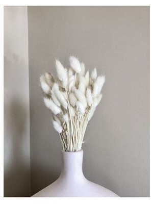 Moon Dizayn Şoklanmış Pamuk Otu