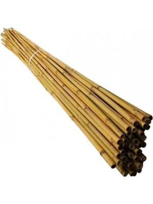 Botanik Bahçesi Orta Asya Gerçek Bambu Çubukları 2.40  Metre Boy 50 Adet 1 Bağ 20-22  mm  Çok Düzgün Kalınlıkta