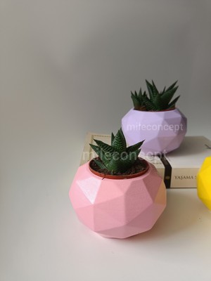 Mile Concept Masaüstü Dekoratif Geometrik Beton Saksı Seti Lila, Pembe, Sarı