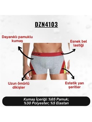 Canterider Gri Parçalı Desenli Erkek Boxer - DZN4103