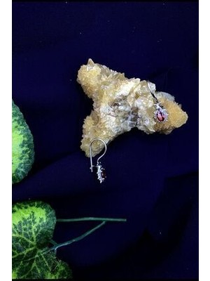 Agai Silver Uğur Böceği Model Yakut ve Zirkon Taşlı Gümüş Küpe