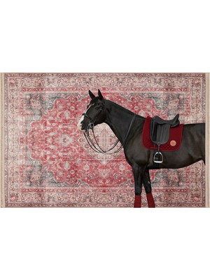 Rugs Modern Vintage Kırmızı Eskitme Desen Siyah At Temalı Dekoratif Halı 1704