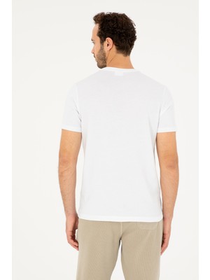 Aydınlı 1824938 Polo T-Shirt