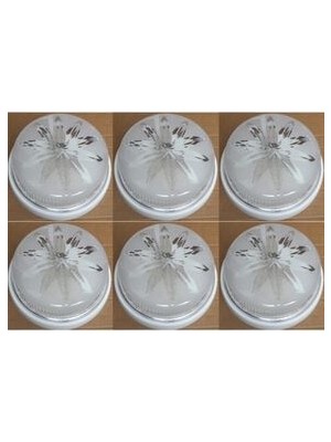 Nisaca Elektrohan Duylu Tavan Lambası Glop Armatür. 6lı Avantaj Paketi