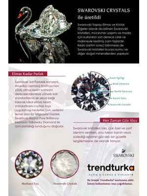 Swarovski Crystal Salkım Kadın Gümüş Küpe Swrer20tt