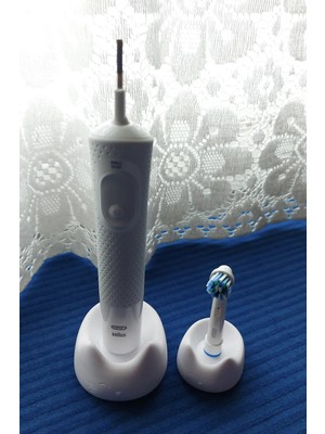 Cypnova Oral B Kedi Şeklinde Diş Fırçalık 2 Parça