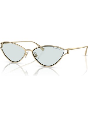 Tiffany&Co. Güneş Gözlüğü TF3095 6196MF Photochromic SOLUK ALTIN RENGİ 