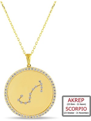 Kuyumcudükkanı Kuyumcudukkanı Zirkontaşlı"akrep Burcu"kolye