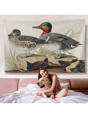 Harita Sepeti John James Audubon'un 'birds Of America' Duvar ÖRTÜSÜ-7011