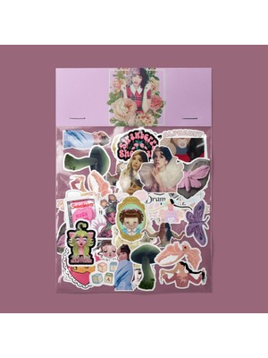 Sticker Melanie Martinez Sticker Paketi/ Bullet Journal Defter Çıkartma Ajanda Laptop Etiket