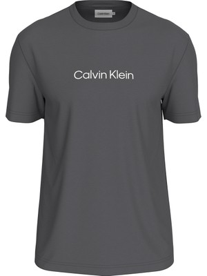 Calvin Klein Bisiklet Yaka Taş Erkek T-Shirt K10K111346PCX