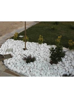Neotan Beyaz Dolomit 25 kg 2,5-4 cm Dolamit Taşı Dere Çakıl Taşı Bahçe Süs Taşı Dekoratif Taş Loche No.4-5