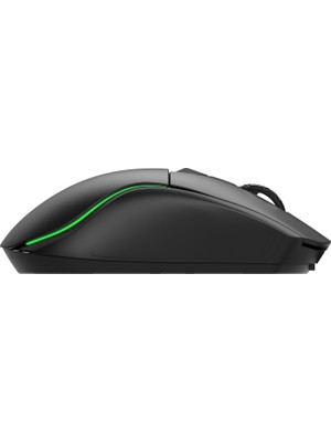 Pusat Reflex Pro 16000 Dpı 400 IPS Yüksek Performanslı Kablosuz Rgb Oyuncu Mouse- Siyah