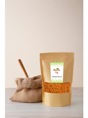 Mucize Tıp Süpürge Tohumu 250 Gr