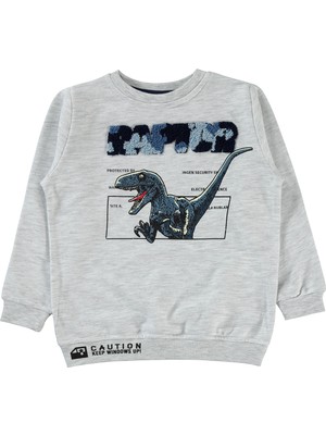 Civil Boys Erkek Çocuk Sweatshirt 2-5 Yaş Karmelanj