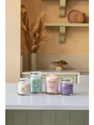 Yankee Candle Sweet Vanilla Horchata Signature Orta Mum