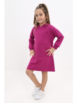 Toontoy Kız Çocuk Nakışlı Elbise