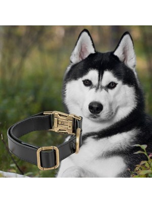 PLM Gerçek Deriden El Yapımı Köpek Tasması, 50CM Ayarlanabilir Ölçü, Parlak Siyah