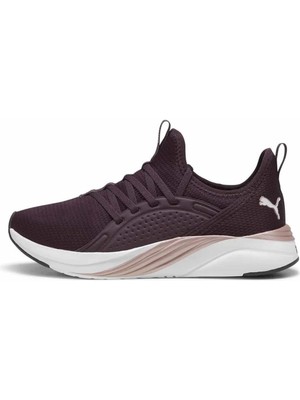 Puma Sneakers Softride 2 Kadın Sneaker Ayakkabı 377903-17 Mürdüm