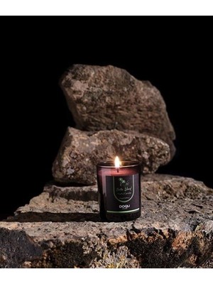 Doqu Home Exotic Island Kokulu Mum Saydam - 170 gr