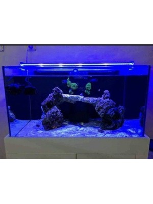 Orion Led Bar LED Aydınlatma Royal Mavi 90CM