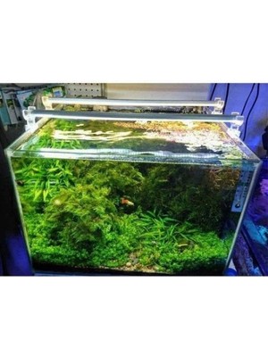 Orion Led Bar LED Aydınlatma Daylight 80CM 3000K