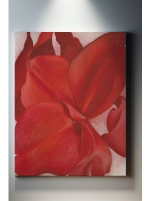 Suala Kırmızı Kannas Çiçeği Tablosu-2013