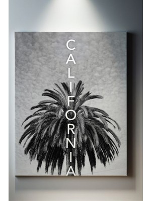 Suala California Tablo-1427