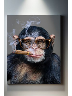 Suala Dumanlı Şempanze Tablosu-1951