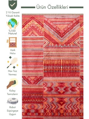 Carpetdocia Oushak Carnaval %100 Naturel Kolay Temizlenir El Emeğiyle Üretilen Tensel Modern Uşak Halısı 18 Redm