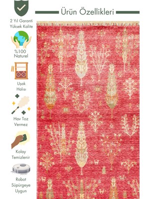 Carpetdocia Oushak Carnaval %100 Naturel Kolay Temizlenir El Emeğiyle Üretilen Tensel Modern Uşak Halısı 08 Red