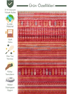 Carpetdocia Oushak Carnaval %100 Naturel Kolay Temizlenir El Emeğiyle Üretilen Tensel Modern Uşak Halısı 19 Redm