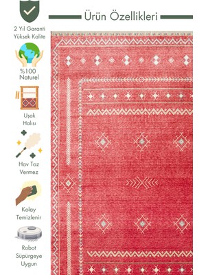 Carpetdocia Oushak Carnaval %100 Naturel Kolay Temizlenir El Emeğiyle Üretilen Tensel Modern Uşak Halısı 20 Redm