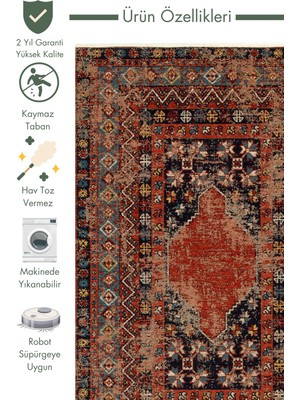 Carpetdocia Kapadokya Antik Desenli Oturma Odası Salon Mutfak Koridor Yıkanabilir Kaymaz Tabanlı Kilim 04 Multy