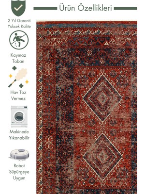 Carpetdocia Kapadokya Antik Desenli Oturma Odası Salon Mutfak Koridor Yıkanabilir Kaymaz Tabanlı Kilim 02 Multy