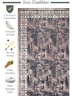 Carpetdocia Gravür Klasik ve Modern Işleme ve Oymaya Sahip Parlak Bordürlü Suni Deri Halı 03 Marıne Bronze Q