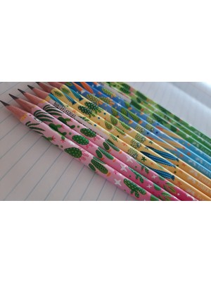Faber-Castell Kaktüs Kurşun Kalem Yeni Sezon Serisi 2b 12 Adet